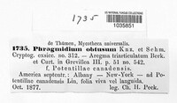 Phragmidium fragariae image